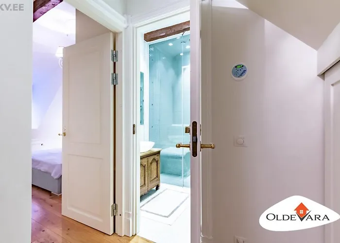 Vene 19 Heritage With Sauna