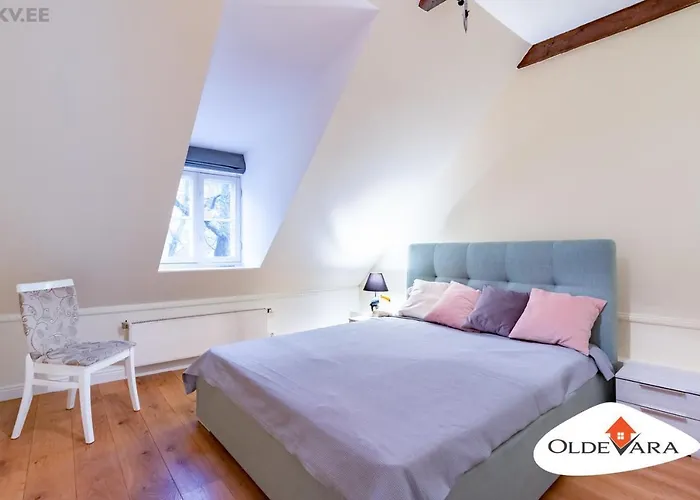 Vene 19 Heritage With Sauna Апартаменти *