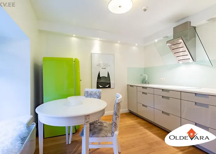 Vene 19 Heritage With Sauna * Tallinn