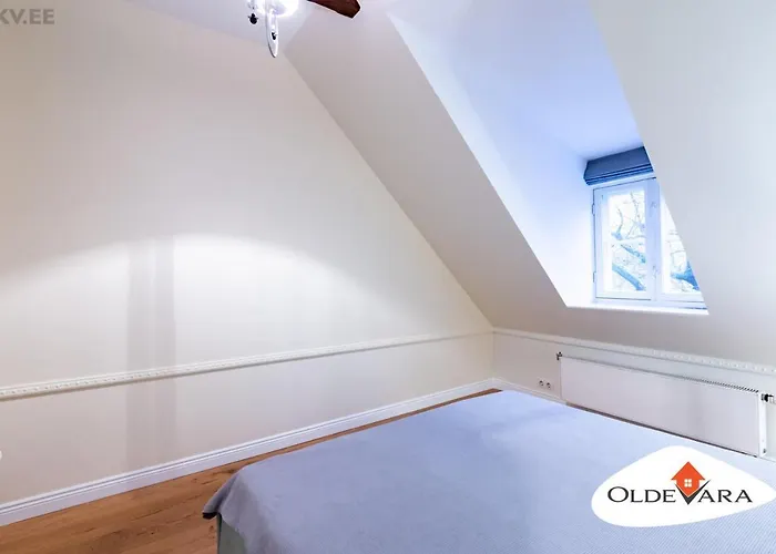 Vene 19 Heritage With Sauna Апартаменти