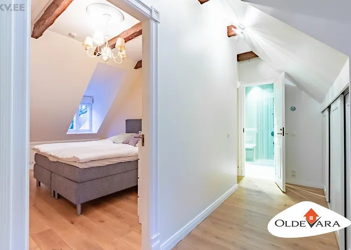 Vene 19 Heritage With Sauna Apartment Tallinn