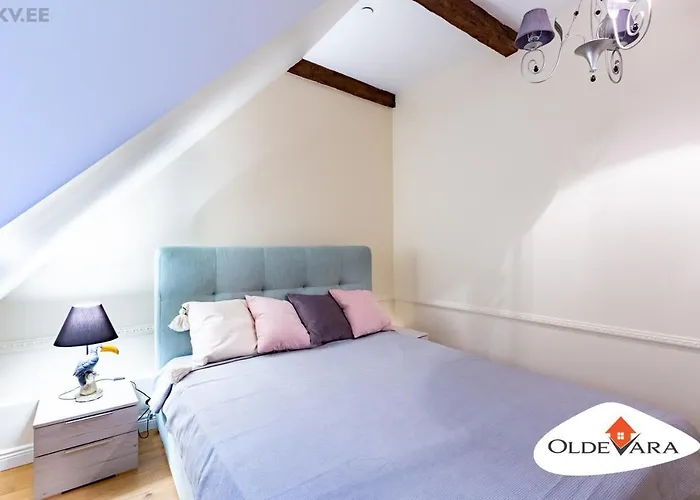 Apartment Vene 19 Heritage With Sauna Tallinn