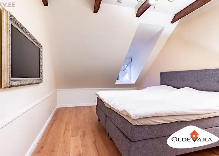 Vene 19 Heritage With Sauna تالين