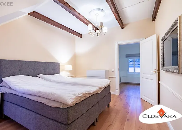 Vene 19 Heritage With Sauna Apartment *